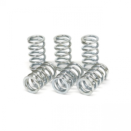 TRW CLUTCH SPRING KIT