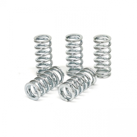 TRW CLUTCH SPRING KIT