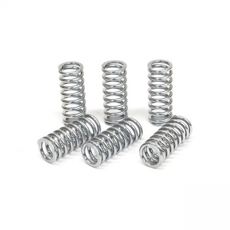 TRW CLUTCH SPRING KIT