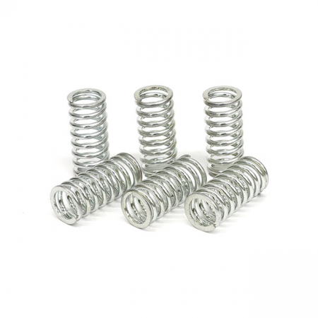 TRW CLUTCH SPRING KIT