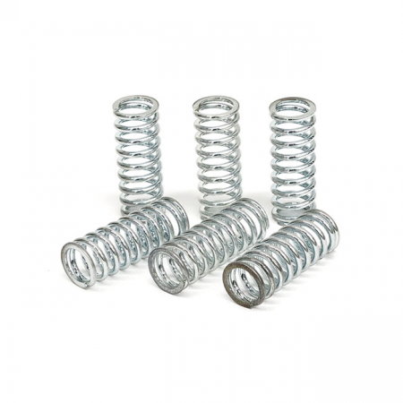 TRW CLUTCH SPRING KIT