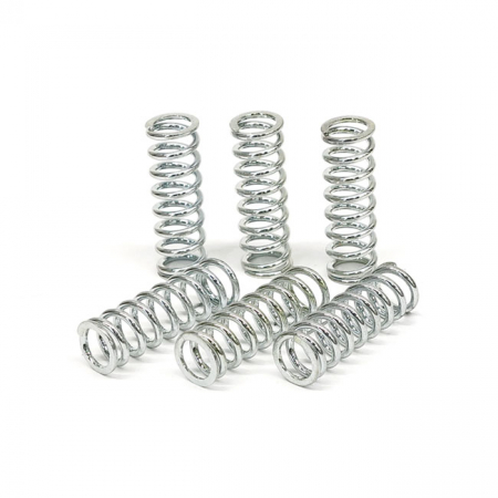 TRW CLUTCH SPRING KIT