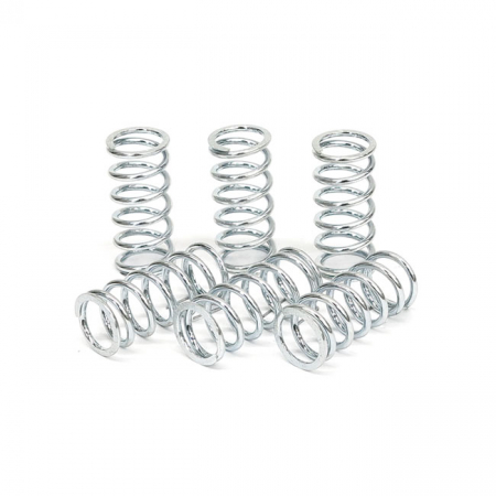 TRW CLUTCH SPRING KIT