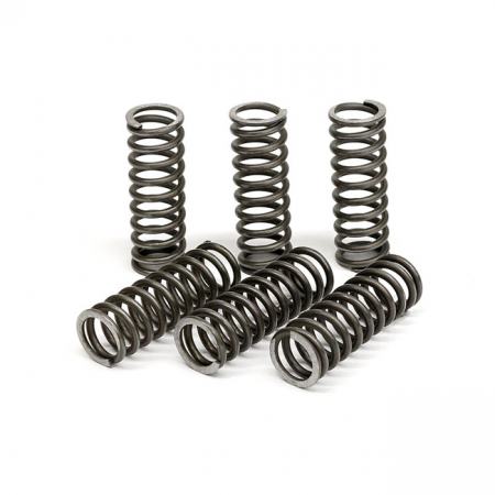 TRW CLUTCH SPRING KIT