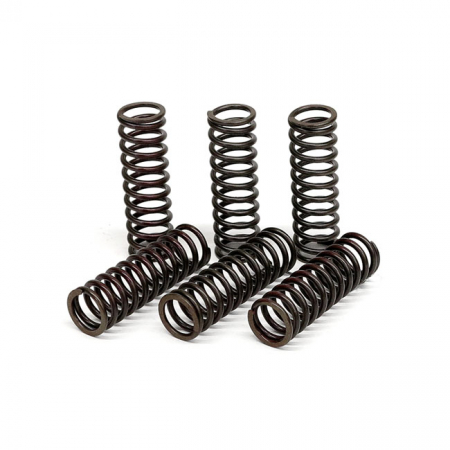 TRW CLUTCH SPRING KIT