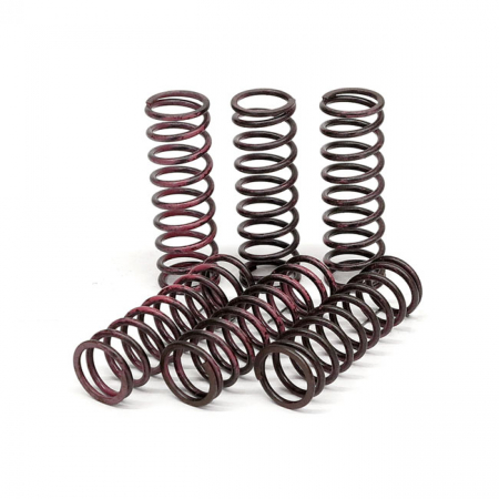 TRW CLUTCH SPRING KIT