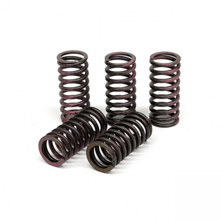 TRW CLUTCH SPRING KIT