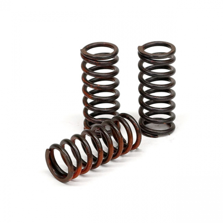 TRW CLUTCH SPRING KIT