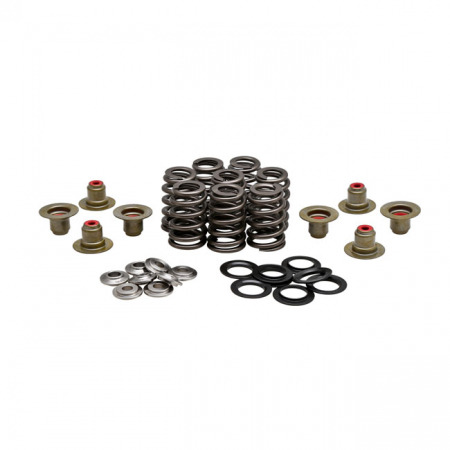 KPMI, .550" HIGH LIFT VALVE SPRING KIT. TITANIUM