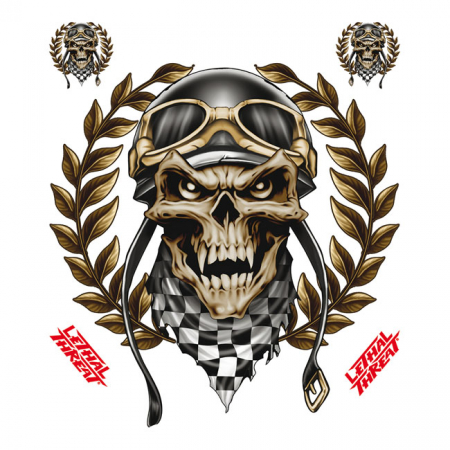 LT RACING SKULL DECAL