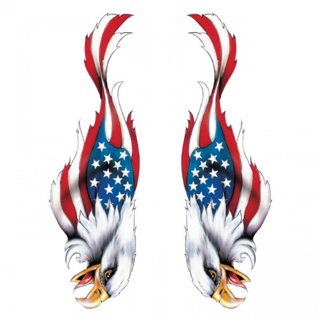 LT USA EAGLE DECAL