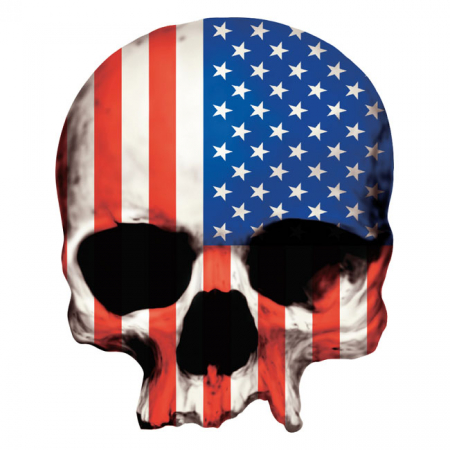 LT MINI DECAL USA SKULL