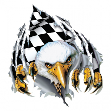 LT MINI DECAL RIP N TEAR CHECKERED EAGLE