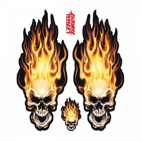 LT HEAD ON FLAME SKULL DECAL SET