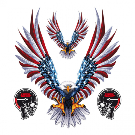 LT USA EAGLE ATTACK DECAL