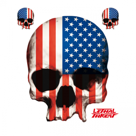 LT USA SKULL DECAL