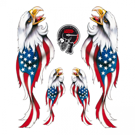 LT USA EAGLE DECAL