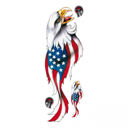 LT USA EAGLE RIGHT DECAL