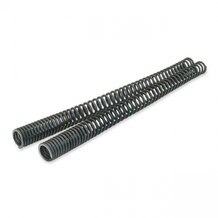 PS FORK SPRING KIT