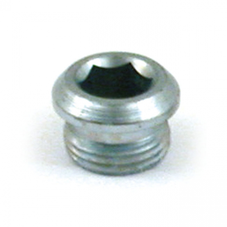 CRANKCASE TIMING PLUG, OEM STYLE ALLEN