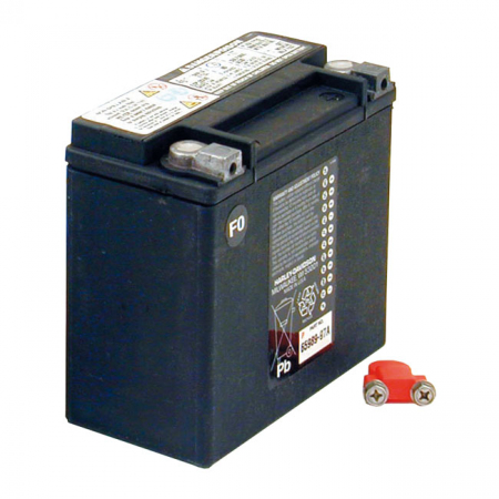 BATTERY 12-VOLT, OEM SEALED