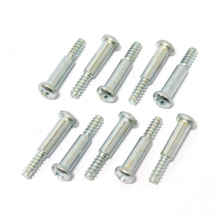 TAILLIGHT LENS SCREWS