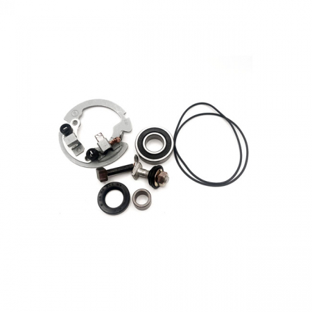 RICK'S STARTER MOTOR REBUILD KIT