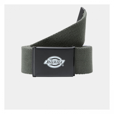 DICKIES ORCUTT BELT OLIVE GREEN