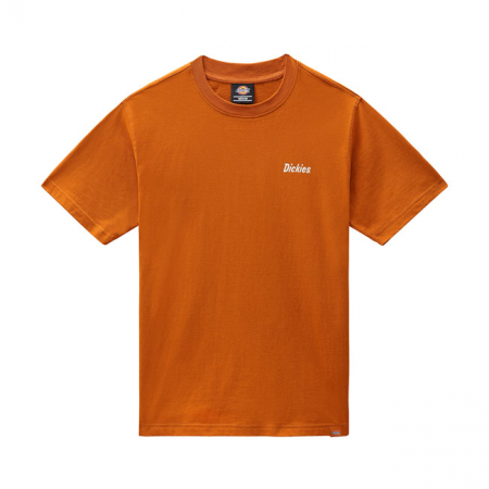 DICKIES BETTLES T-SHIRT PUMPKIN SPICE