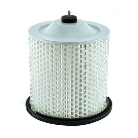 MIW, REPLACEMENT AIR FILTER S3195