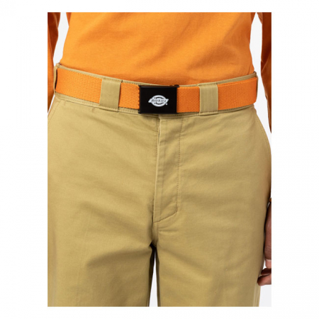 DICKIES ORCUTT BELT GOLDEN OCHRE