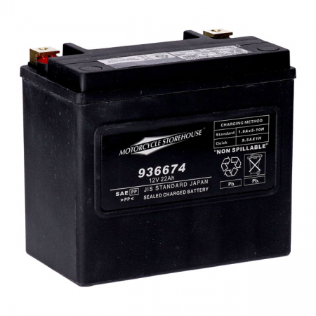 MCS, STANDARD SERIES - AGM SEALED BATTERY. 12V, 22AH. 325CCA