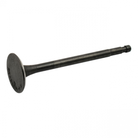 FLATHEAD INTAKE VALVE