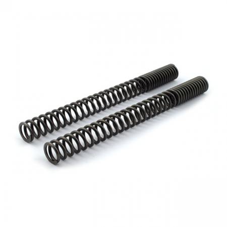 PS FORK SPRING KIT