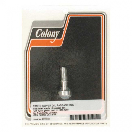 COLONY CAM COVER OIL PASSAGE BOLT