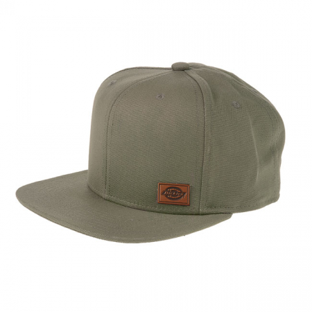 DICKIES MINNESOTA CAP