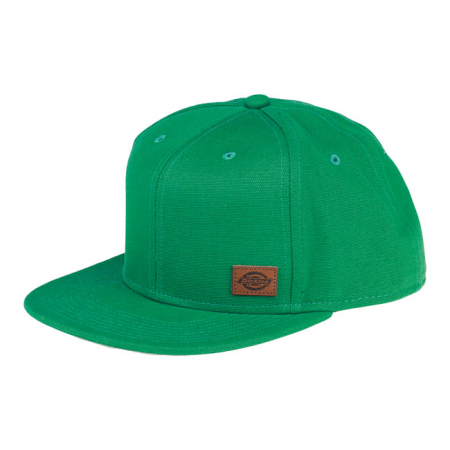 DICKIES MINNESOTA CAP