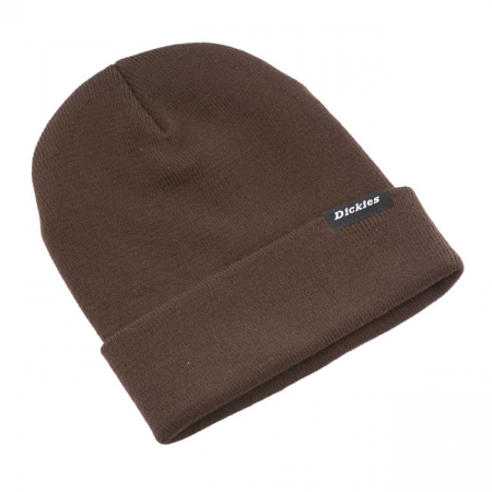 DICKIES ALASKA BEANIE