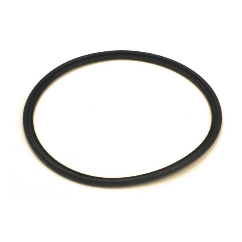 GASKET, HEADLAMP DOOR 991660